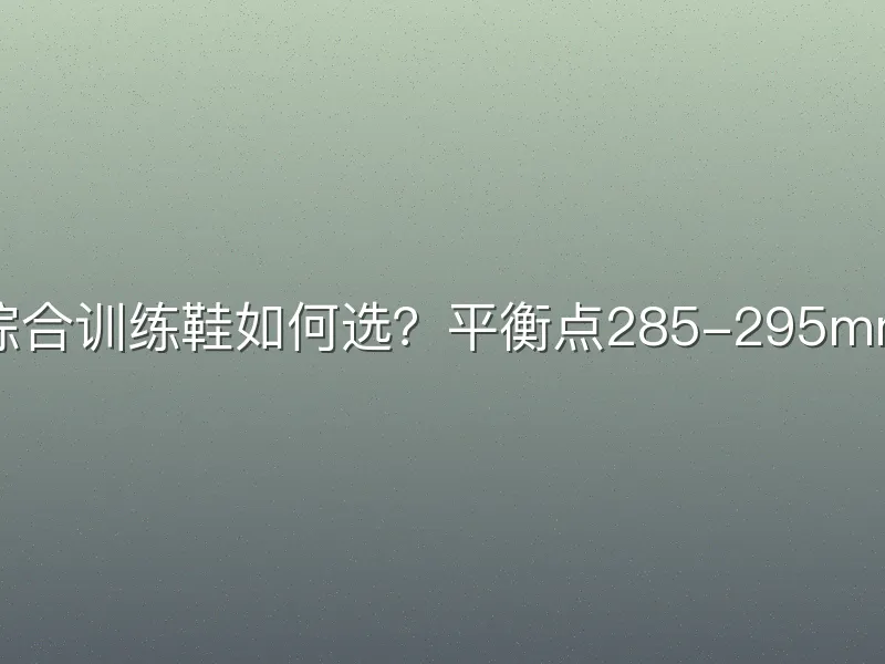 入门级综合训练鞋如何选？平衡点285-295mm是关键